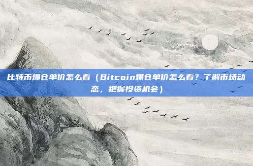 比特币爆仓单价怎么看（Bitcoin爆仓单价怎么看？了解市场动态，把握投资机会）