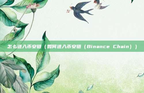 怎么进入币安链（如何进入币安链（Binance Chain））