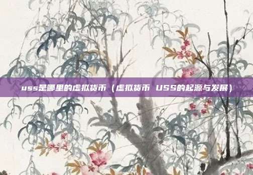 uss是哪里的虚拟货币（虚拟货币 USS的起源与发展）