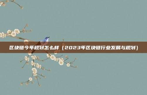 区块链今年规划怎么样（2023年区块链行业发展与规划）