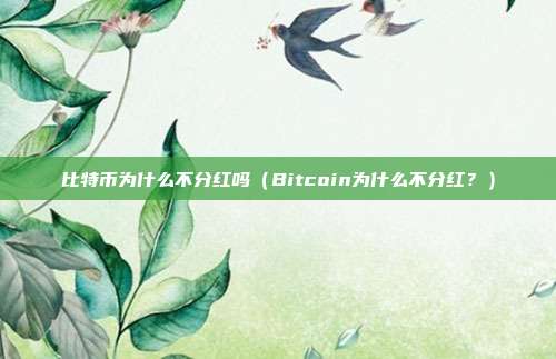 比特币为什么不分红吗（Bitcoin为什么不分红？）